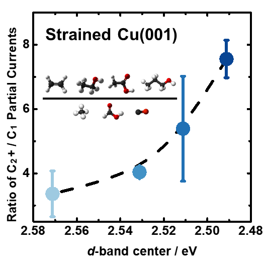 How Strain Alters CO2 Electroreduction on Model Cu Surfaces